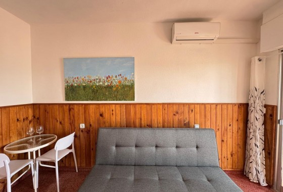 Segunda Mano - Apartamento - Torrevieja - torrevieja