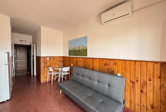 Segunda Mano - Apartamento - Torrevieja - torrevieja