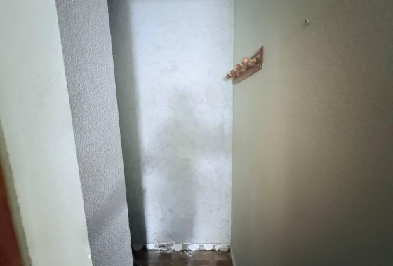 Segunda Mano - Apartamento - Torrevieja - La veleta