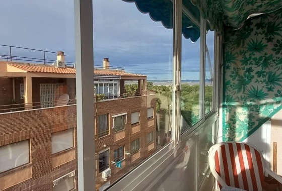 Segunda Mano - Apartamento - Torrevieja - Acequion