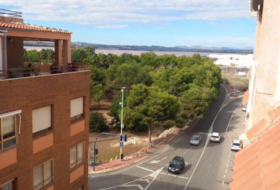 Segunda Mano - Apartamento - Torrevieja - Acequion