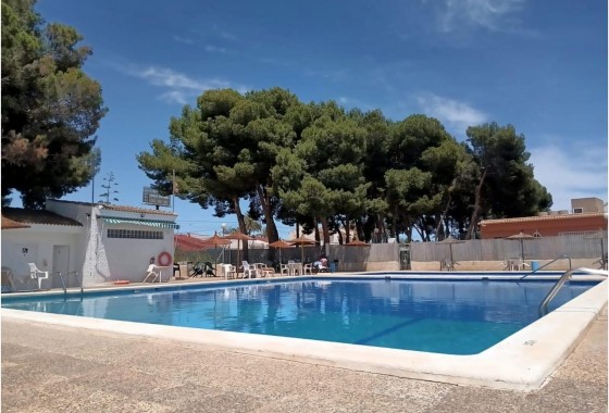 Revente - Bungalow - Torrevieja - El limonar