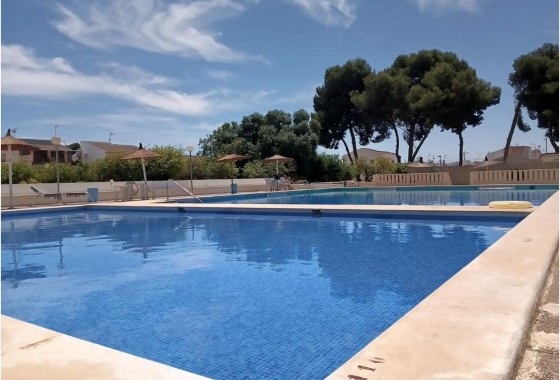 Revente - Bungalow - Torrevieja - El limonar