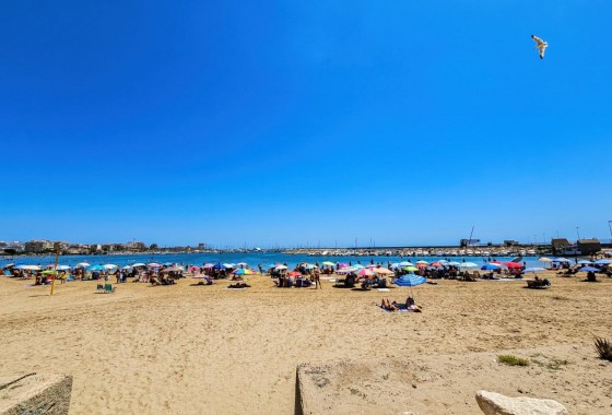 Revente - Appartement - Torrevieja - Acequion