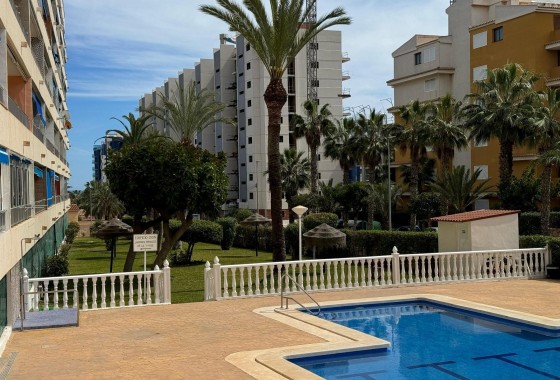 Segunda Mano - Apartamento - Orihuela Costa - Rocio del Mar