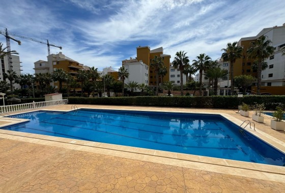 Segunda Mano - Apartamento - Orihuela Costa - Rocio del Mar
