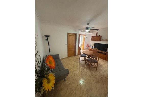 Segunda Mano - Apartamento - Torrevieja - torrevieja