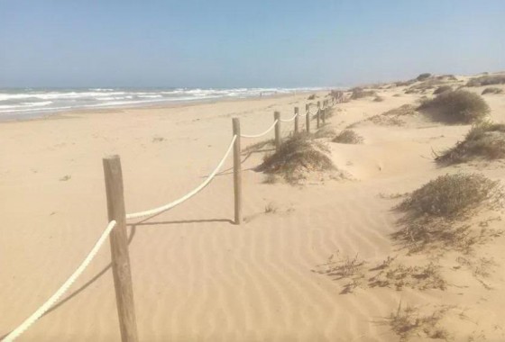 Revente - Appartement - Torrevieja - Los Europeos