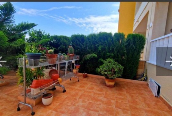 Segunda Mano - Apartamento - Orihuela Costa - Lomas de Cabo Roig-Los Dolses