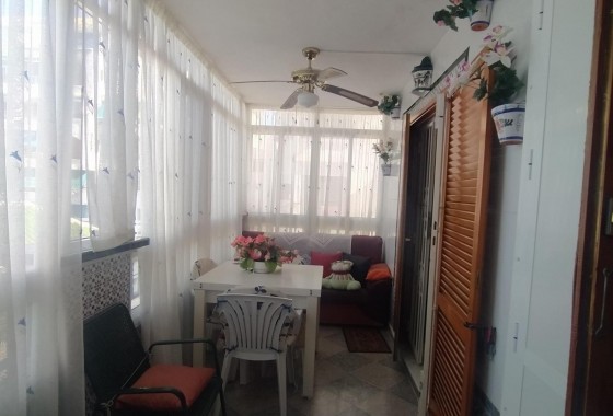 Revente - Appartement - Torrevieja - Los Europeos