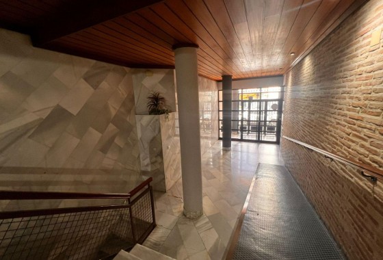 Segunda Mano - Apartamento - Torrevieja - torrevieja