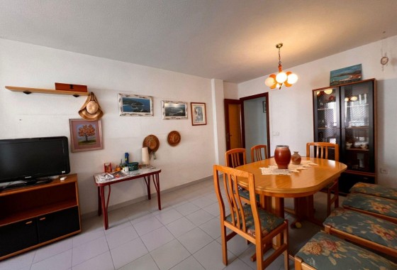 Segunda Mano - Apartamento - Torrevieja - torrevieja