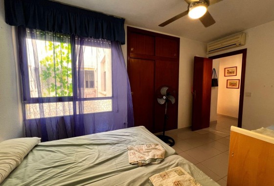 Segunda Mano - Apartamento - Torrevieja - torrevieja