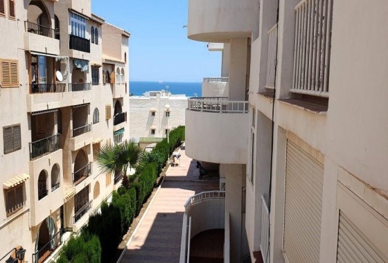 Revente - Appartement - Torrevieja - Los Europeos