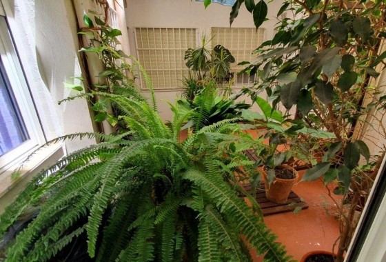 Revente - Appartement - Torrevieja - Los Europeos