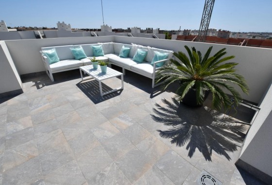 Obra nueva - Bungalow - San Miguel de Salinas - La Cañada