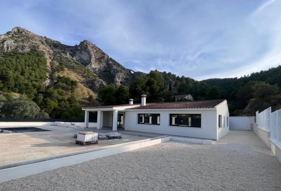Nouvelle construction - Villa - Penàguila - El Olivar