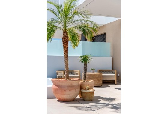 Obra nueva - Adosado - Dolores - Sector 3