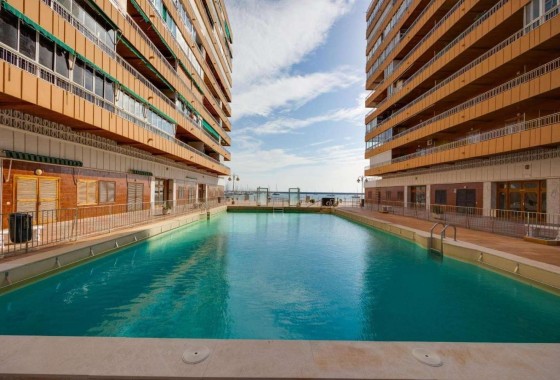 Revente - Appartement - Torrevieja - Acequion