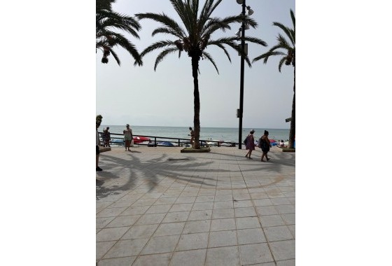 Revente - Appartement - Torrevieja - Playa del cura