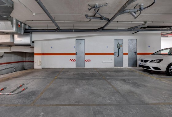 Segunda Mano - Apartamento - Torrevieja - Estacion de autobuses