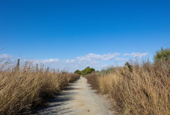 Segunda Mano - Chalet - Torrevieja - El limonar
