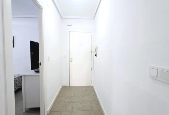 Segunda Mano - Apartamento - Torrevieja - Estacion de autobuses