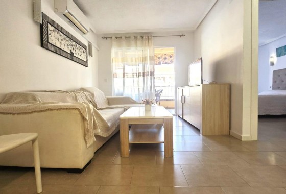 Segunda Mano - Apartamento - Torrevieja - Estacion de autobuses