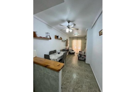 Revente - Appartement - Torrevieja - Estacion de autobuses