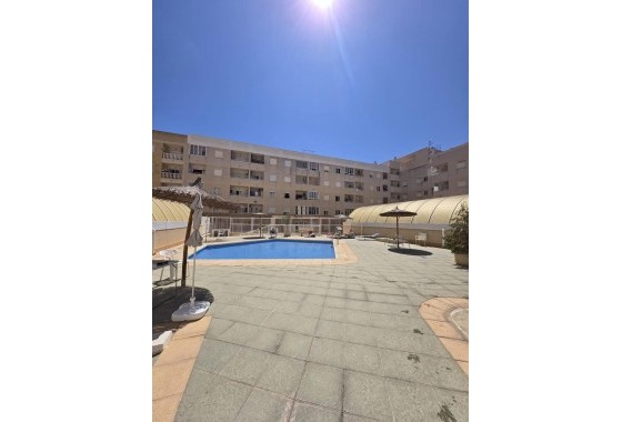 Revente - Appartement - Torrevieja - torrevieja