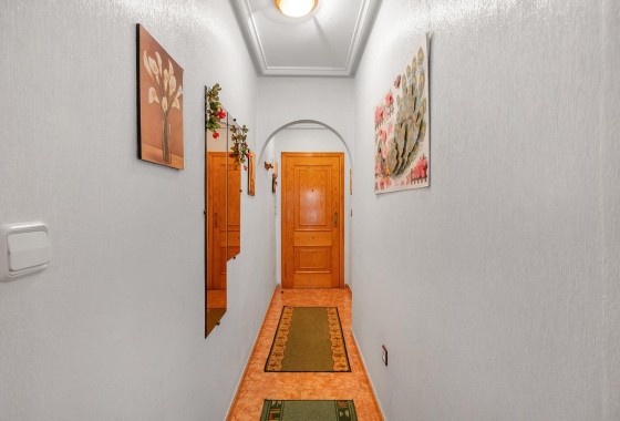 Segunda Mano - Apartamento - Torrevieja - Estacion de autobuses