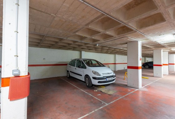 Segunda Mano - Apartamento - Torrevieja - Estacion de autobuses