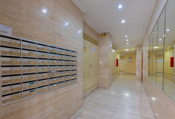 Segunda Mano - Apartamento - Torrevieja - Estacion de autobuses