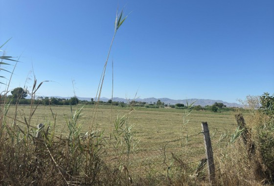 Revente - Maison de ville - Almoradí - El saladar