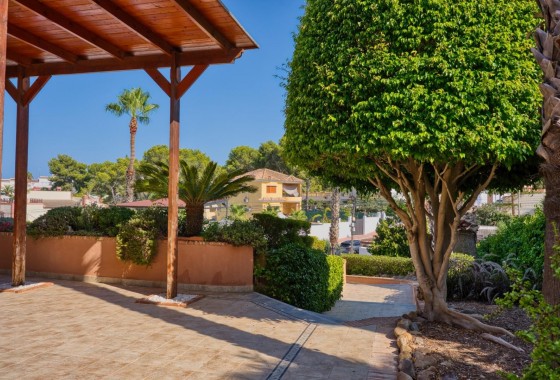 Segunda Mano - Chalet - Torrevieja - Los Balcones - Los Altos del Edén