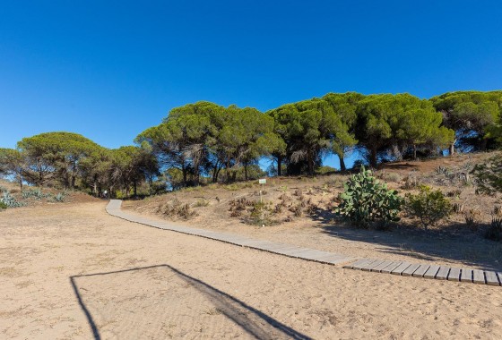 Revente - Appartement - Guardamar del Segura - Urb. pinomar