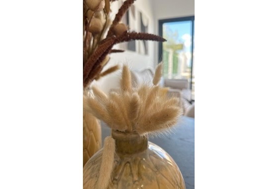 Obra nueva - Bungalow - San Fulgencio - Pueblo