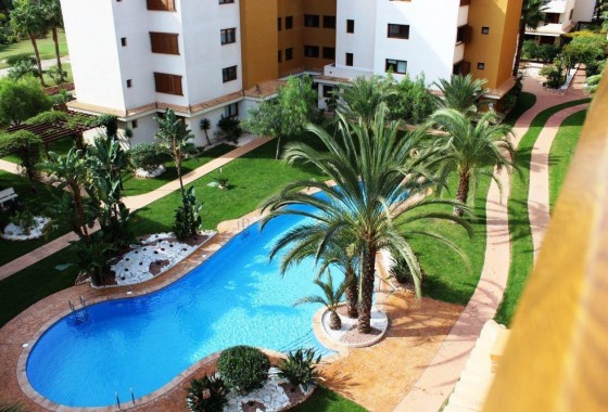 Segunda Mano - Apartamento - Punta Prima - La Entrada