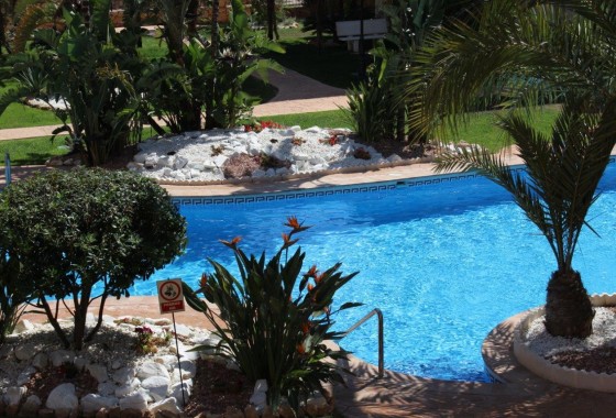 Segunda Mano - Apartamento - Punta Prima - La Entrada