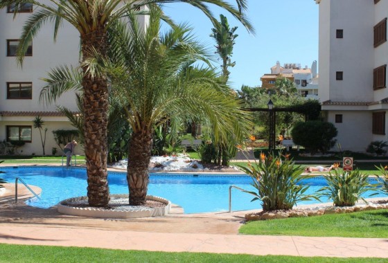 Segunda Mano - Apartamento - Punta Prima - La Entrada