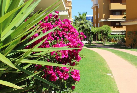 Segunda Mano - Apartamento - Punta Prima - La Entrada