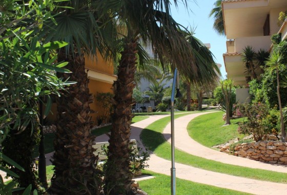 Segunda Mano - Apartamento - Punta Prima - La Entrada