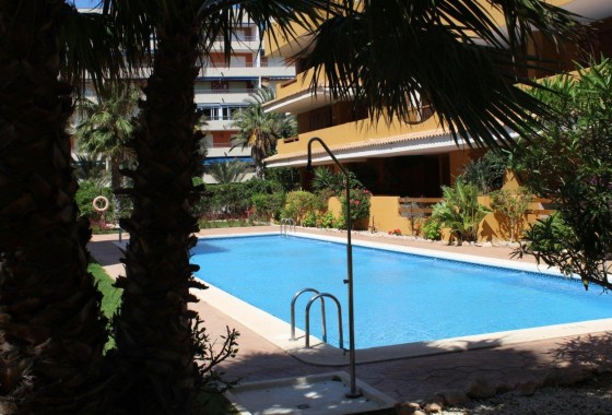 Segunda Mano - Apartamento - Punta Prima - La Entrada