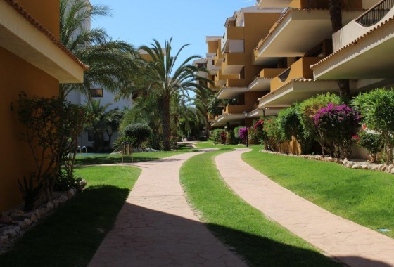 Segunda Mano - Apartamento - Punta Prima - La Entrada