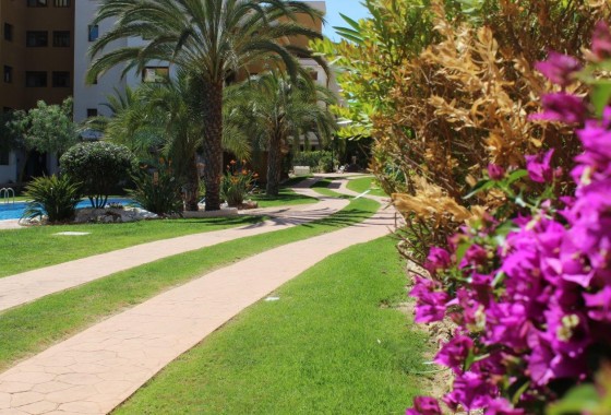 Segunda Mano - Apartamento - Punta Prima - La Entrada