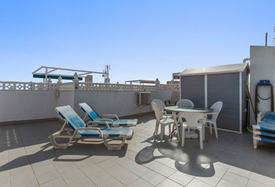 Segunda Mano - Bungalow - Torrevieja - El chaparral