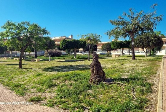 Revente - Bungalow - Torrevieja - La Mata