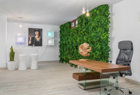 New Build - Detached Villa - Vera - Vera playa