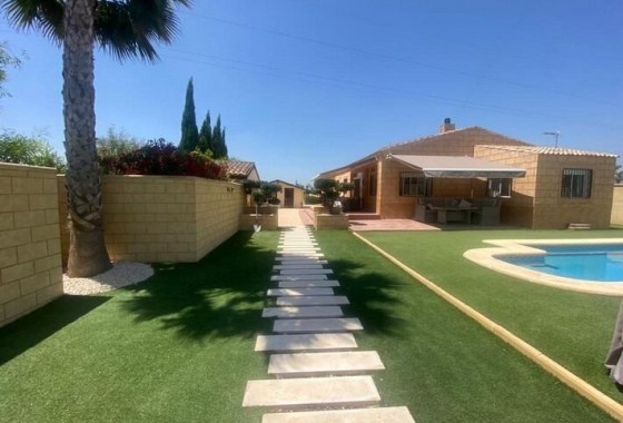 Revente - finca - Albatera - Pueblo 11