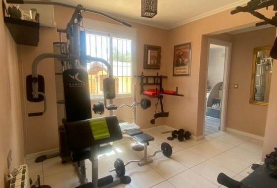 Revente - finca - Albatera - Pueblo 11